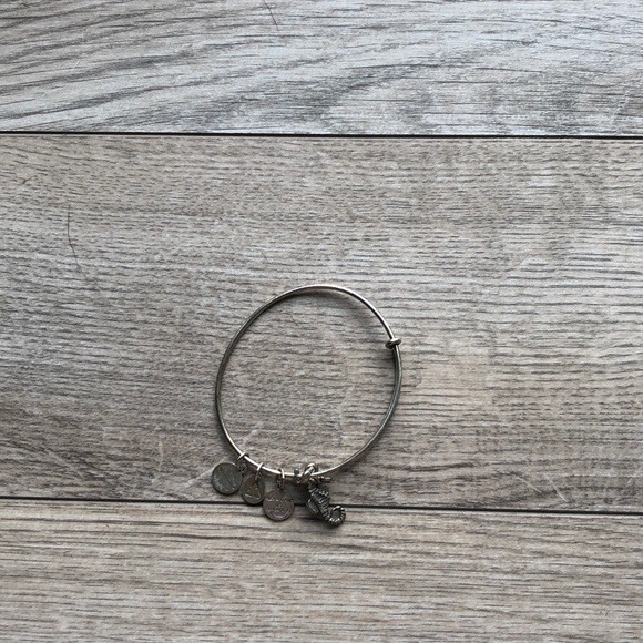 Alex and Ani charm bracelet - Picture 2 of 3